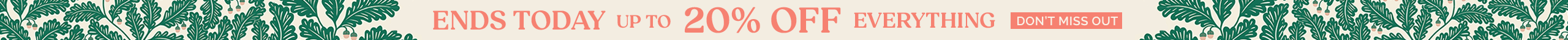 large offer snippet