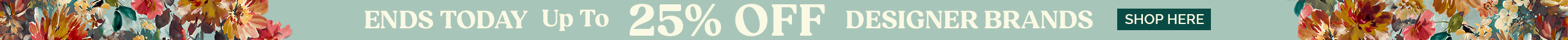 large offer snippet