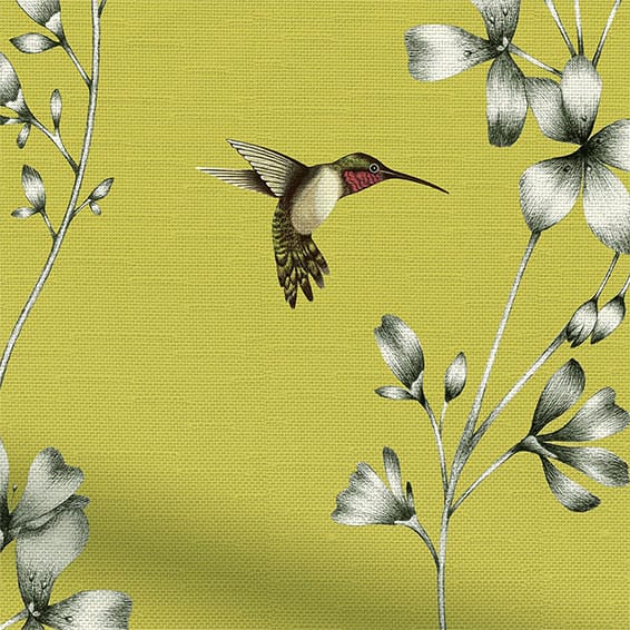 Amazilia Lime Curtains Amazilia Lime Curtains, Teal Lime Curtains